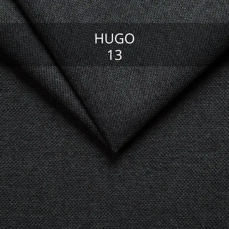 hugo-13.webp